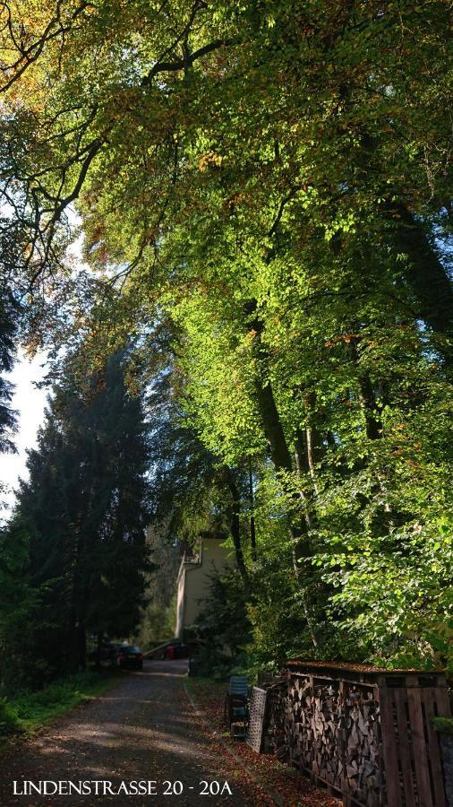 Ferienwohnung Haus Schoeneck Schönecken Exteriér fotografie